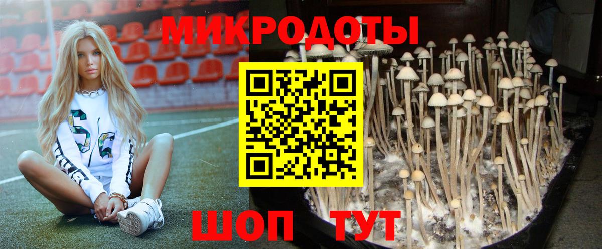 Когалым  Псилоцибиновые грибы Cubensis  Вход с VPN  Псилоцибиновые грибы Psilocybine cubensis 