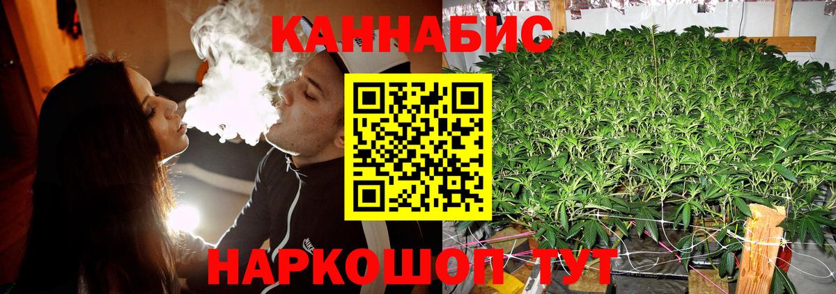 Когалым  Бошки марихуана план  Вход с VPN  Канабис индика 
